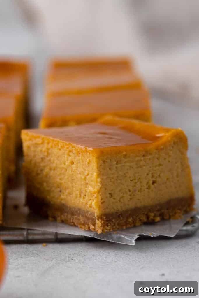 Baked pumpkin cheesecake bars topped with a generous caramel drizzle.