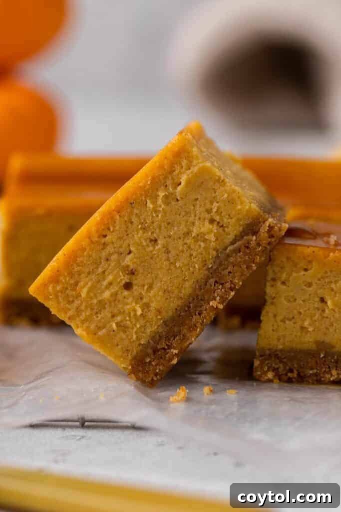 A straight, eye-level shot of multiple pumpkin cream cheese bars, highlighting their perfect layers and toppings.
