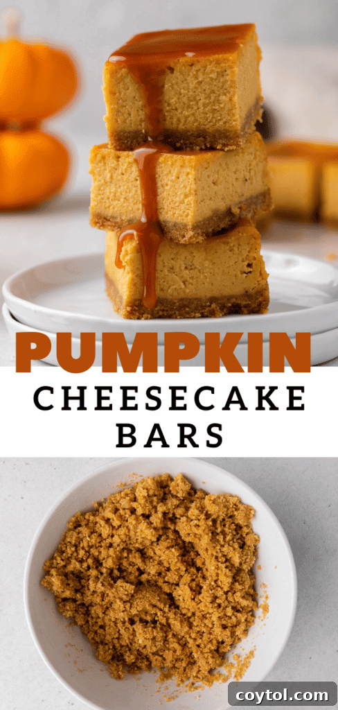 Beautifully arranged pumpkin cheesecake bars, perfect for a fall dessert spread.