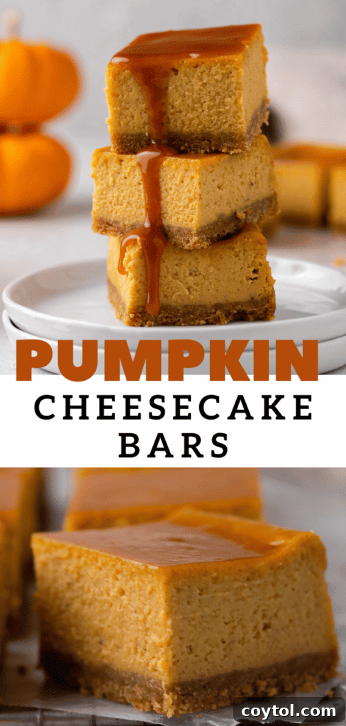 Close-up of a pumpkin cheesecake bar, highlighting its creamy texture and crust details.