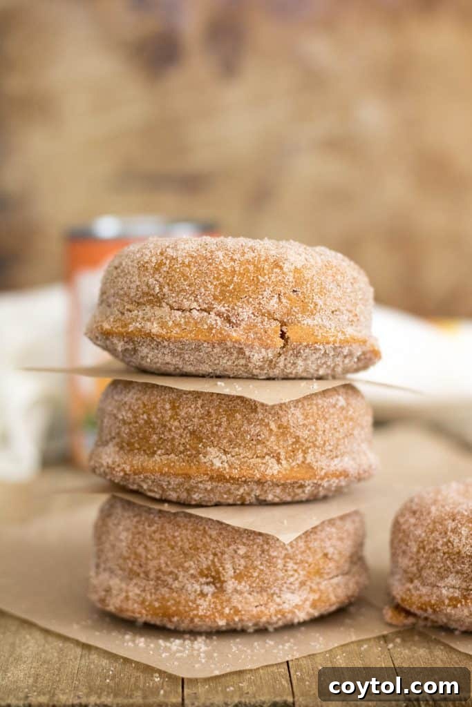 35 Irresistible Thanksgiving Desserts 24 The best pumpkin donut thanksgiving dessert recipes