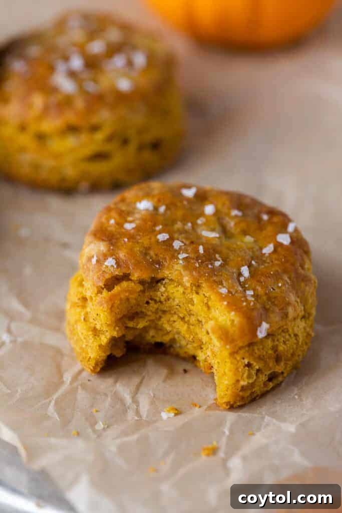 35 Irresistible Thanksgiving Desserts 27 Small batch biscuits with sea salt