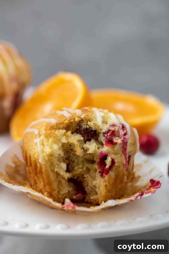 35 Irresistible Thanksgiving Desserts 37 Moist cranberry orange muffins best thanksgiving dessert recipes