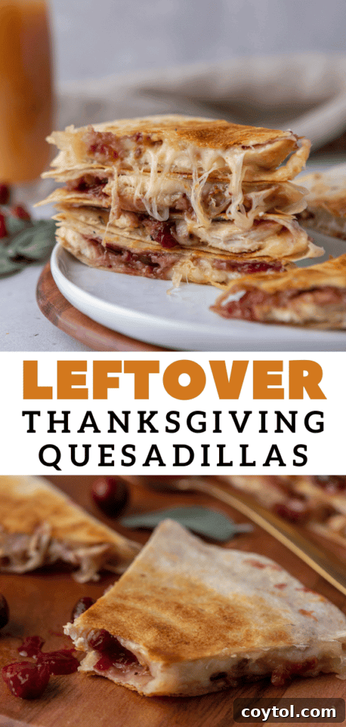 Thanksgiving leftover turkey quesadillas, a third vertical image option