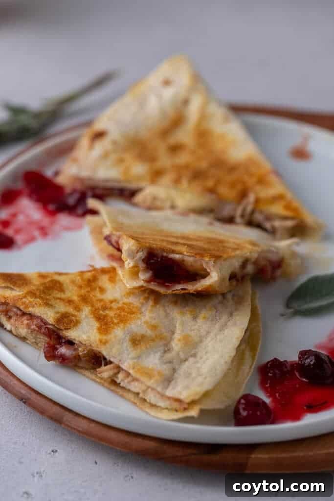 Cranberry turkey quesadillas, close-up of the delicious filling