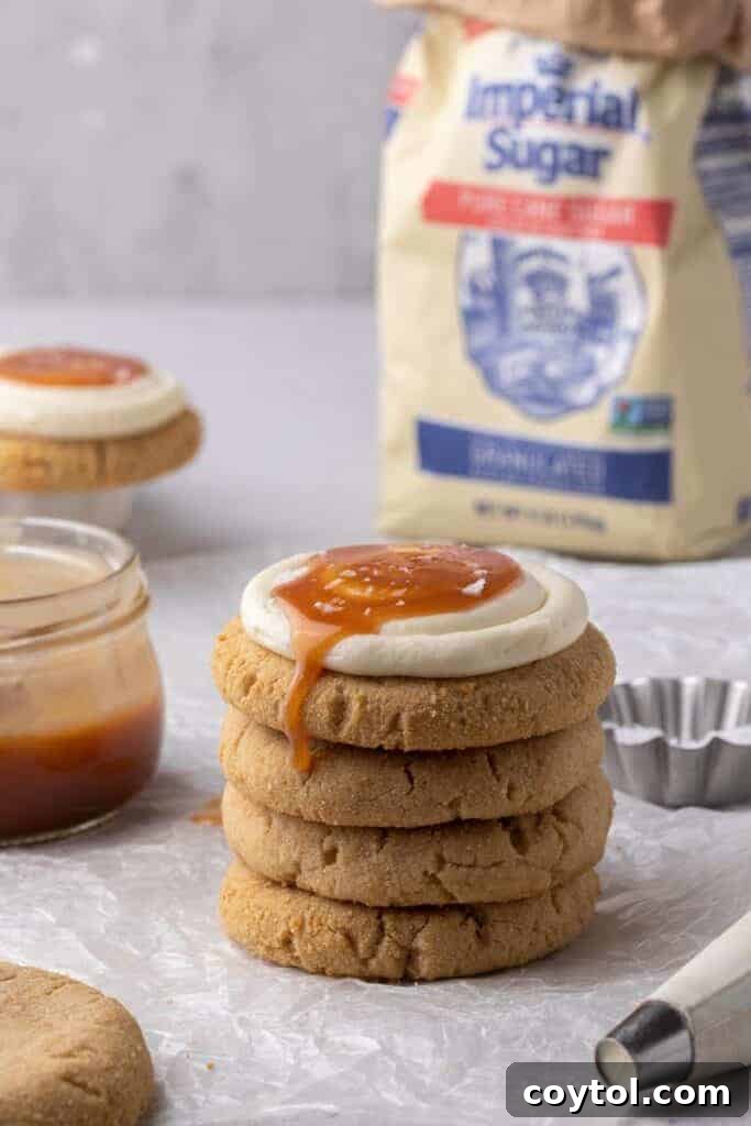 Stack of frosted graham cracker cookies