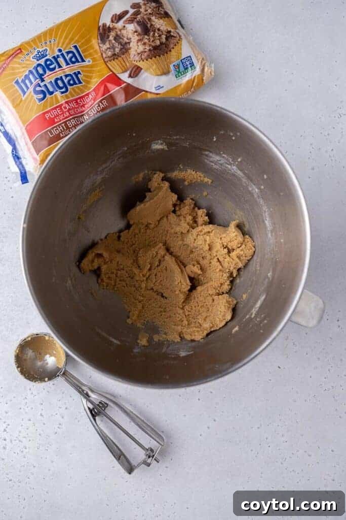 Graham cracker cookie dough in mixing bowl