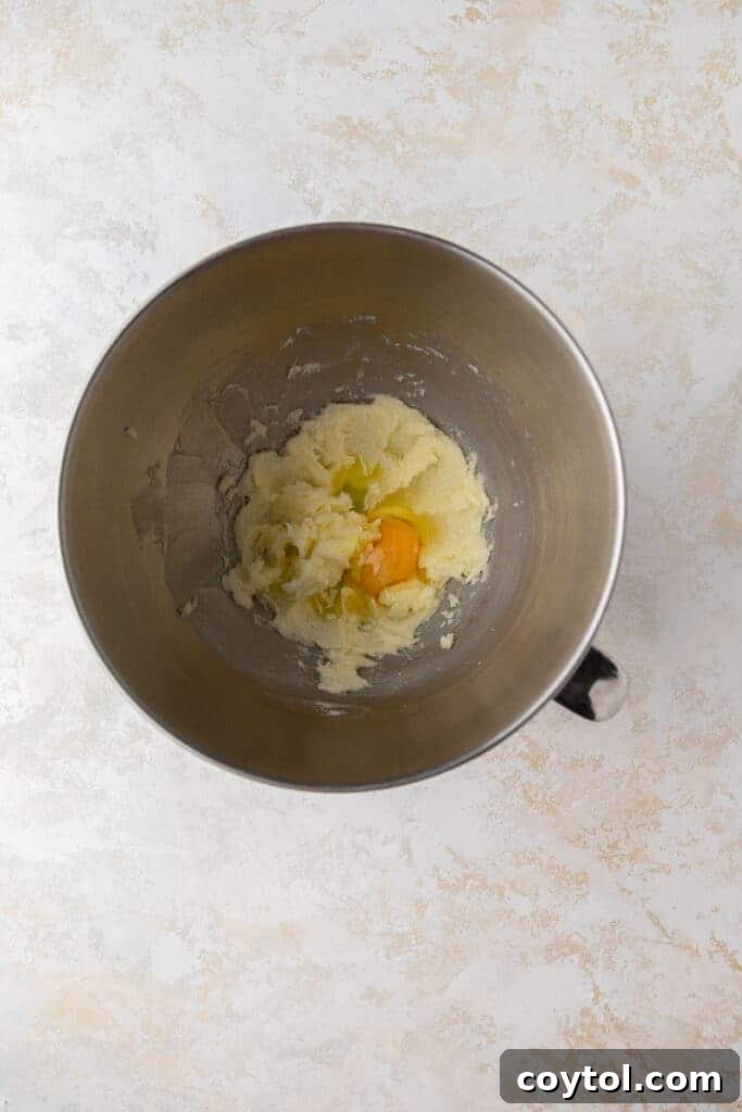 Creamed butter, sugar, and egg in mixing bowl for cookies