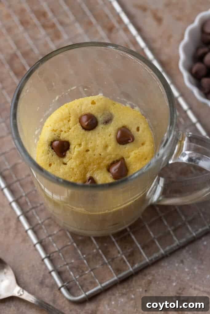 Protein mug cake 