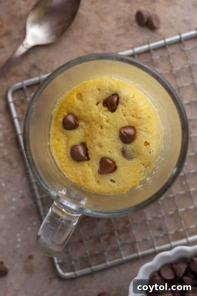 Protein mug cake 