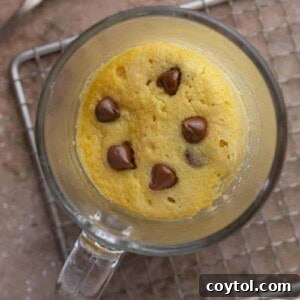 Protein mug cake