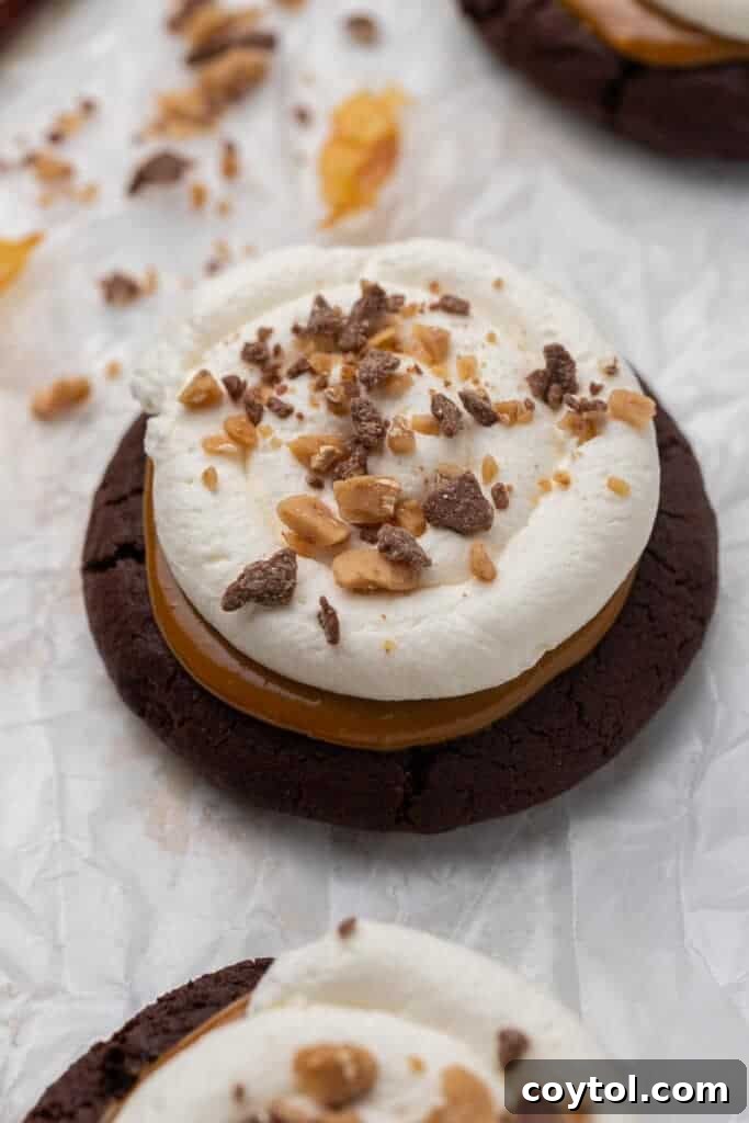 Irresistible Chilled Crumbl Heath Cake Cookies 2 Crumbl heath cake cookies