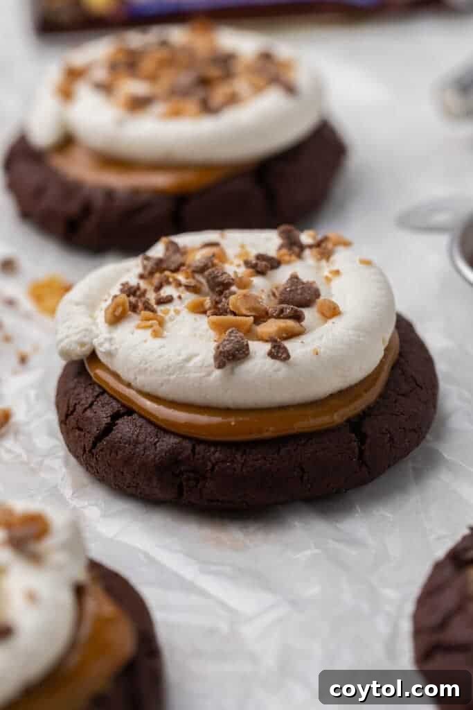 Irresistible Chilled Crumbl Heath Cake Cookies 12 Crumbl Heath cake cookies