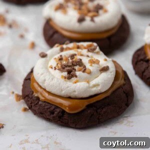 Irresistible Chilled Crumbl Heath Cake Cookies 13 Crumbl Heath cake cookies
