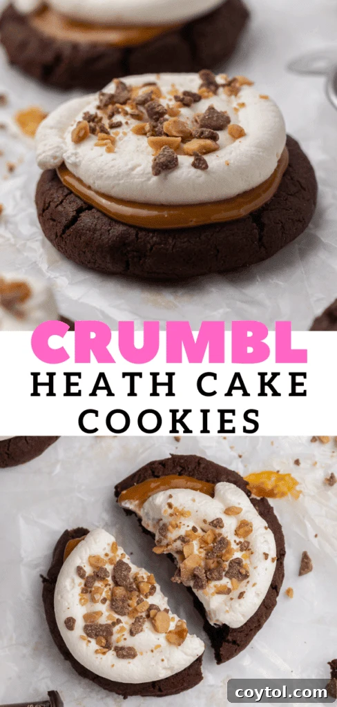 Irresistible Chilled Crumbl Heath Cake Cookies 15 Crumbl Heath cake cookies