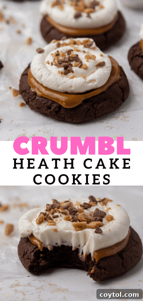 Irresistible Chilled Crumbl Heath Cake Cookies 16 Crumbl Heath cake cookies