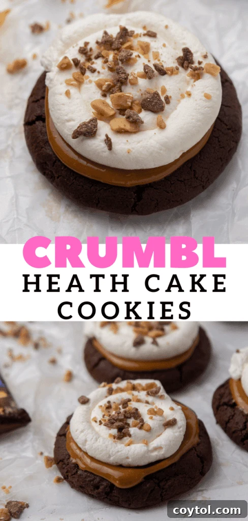 Irresistible Chilled Crumbl Heath Cake Cookies 17 Crumbl Heath cake cookies