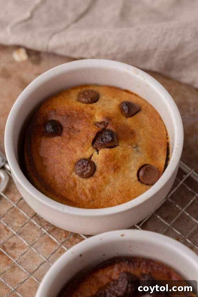 Air fryer baked oats