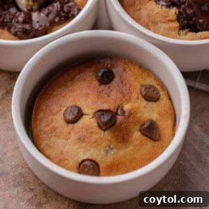 Baked oats in the air fryer three ways