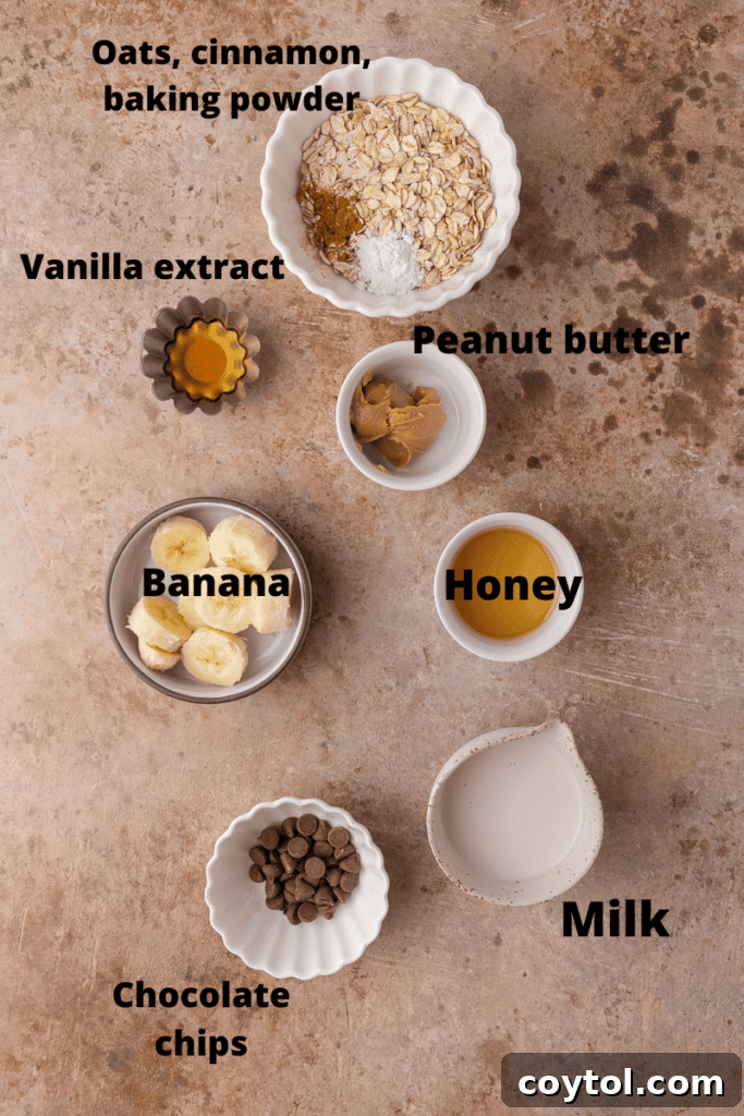 Ingredients Air fryer baked oats