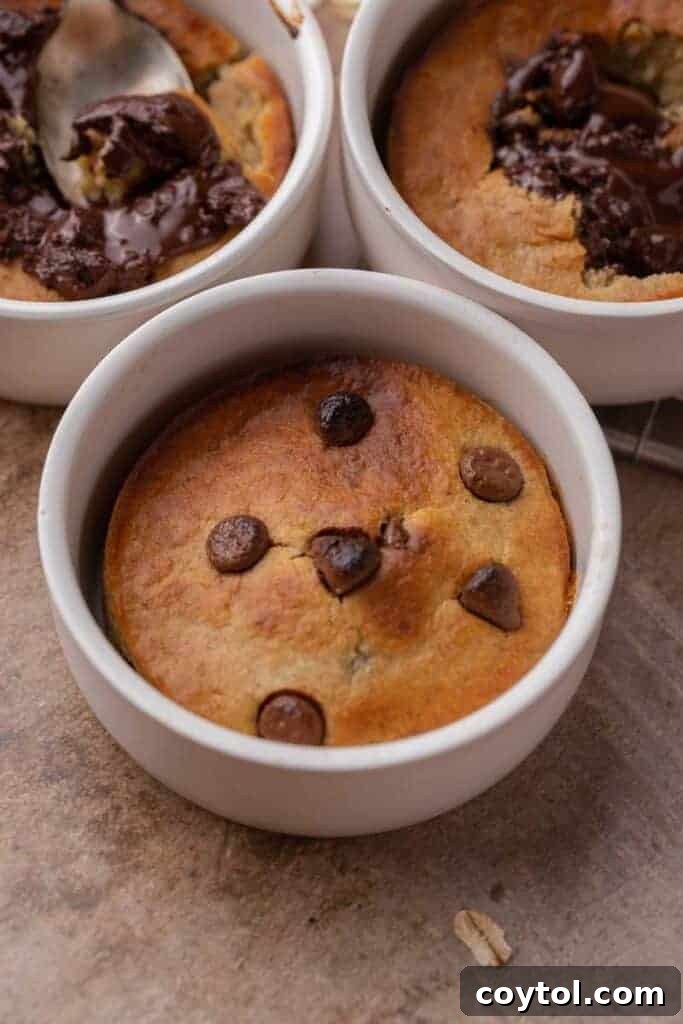 Baked oats in the air fryer three ways