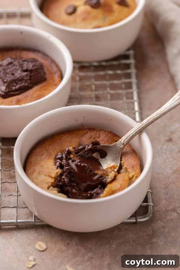 Soft air fried baked oats