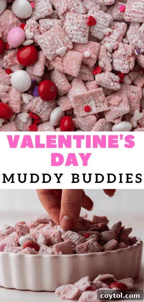 Valentine's day muddy buddies