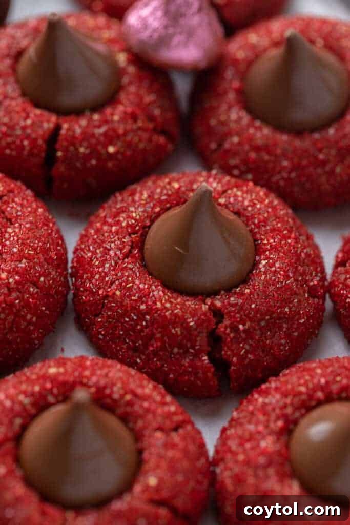 Close up of a single Hershey's red velvet blossom, highlighting the melted chocolate and sugary coating