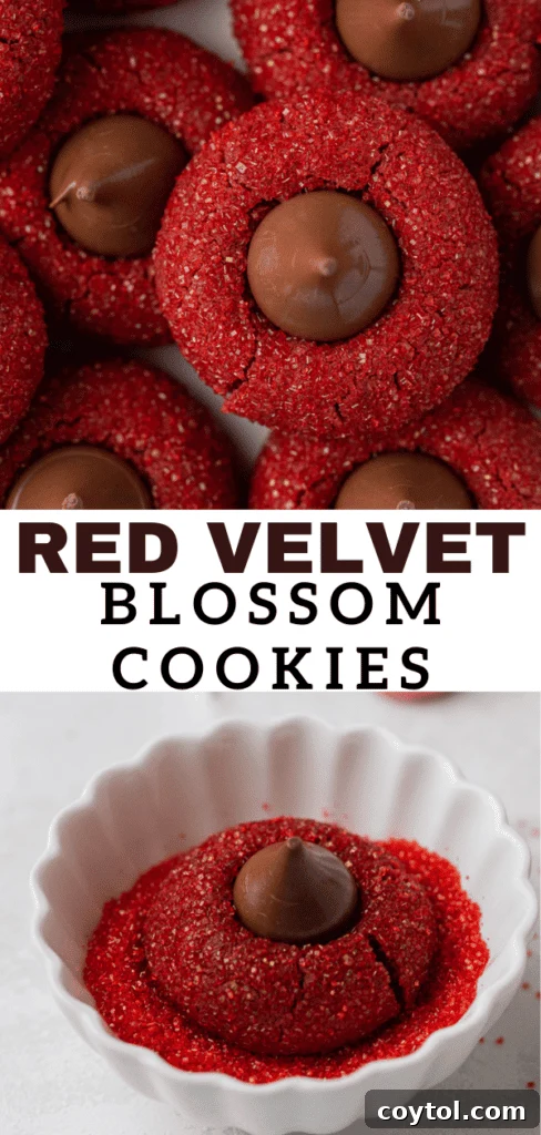 Red velvet blossoms, a perfect holiday treat