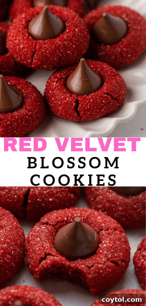 Homemade red velvet blossoms with Hershey's Kisses