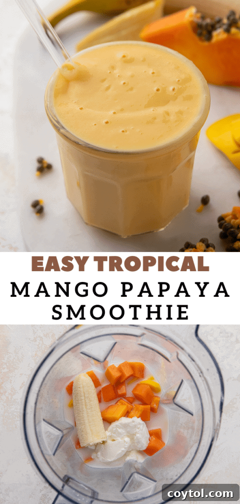 Refreshing tropical smoothie recipe featuring papaya and mango, a great healthy drink option.