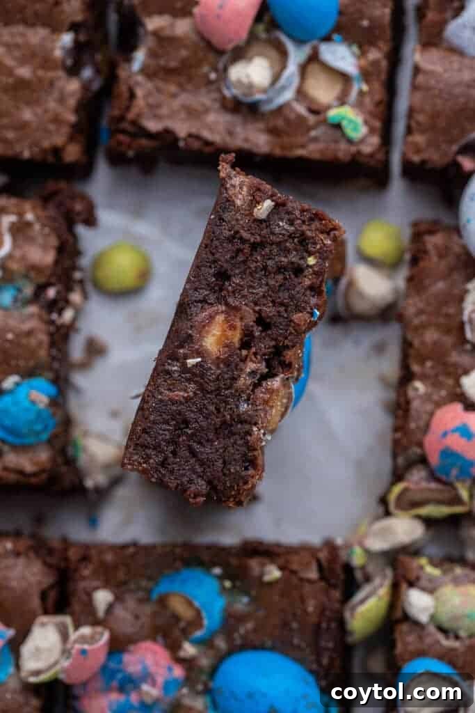 Overhead shot of fudgy Easter egg brownies with colorful candies