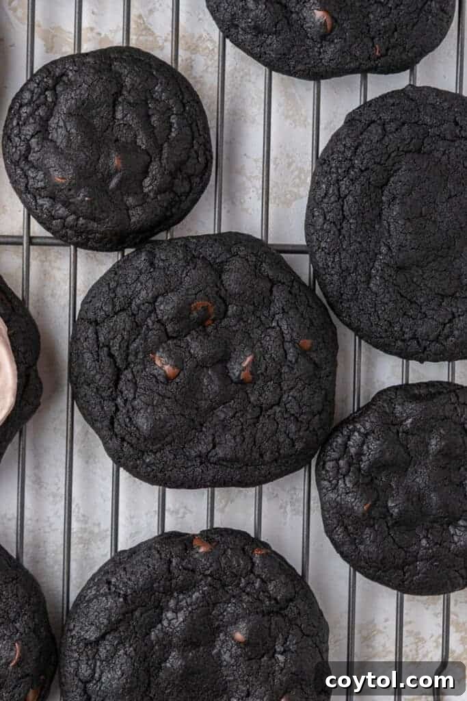 Chilled Strawberry Cheesecake Swirl Chocolate Cookies 8 Freshly baked dark cocoa cookies cooling on a wire rack, ready for frosting.