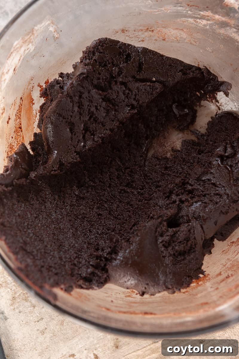 Mixing chocolate cookie dough