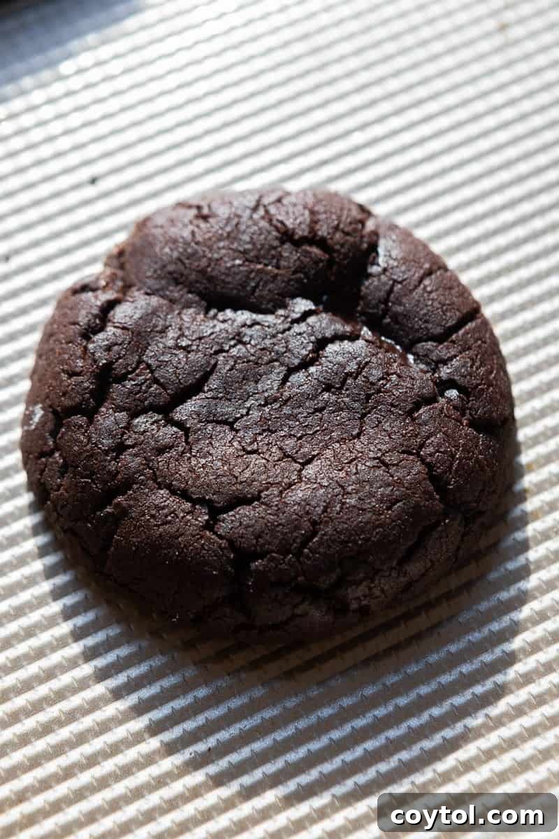 Baked chocolate cookies on a baking sheet