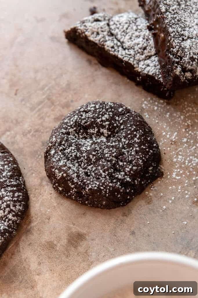Small Crumbl hot fudge cookie with powdered sugar