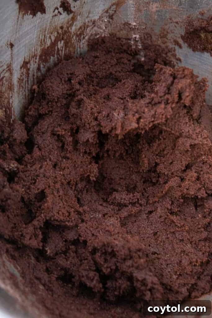Close-up of freshly mixed chocolate cookie dough, rich and ready for scooping.