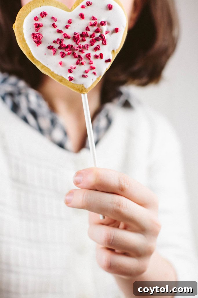 18 Irresistible Valentine's Day Cookie Ideas 15 Adorable vegan heart-shaped cookie pops, glazed with sugar-free royal icing, presented beautifully for Valentine's Day.