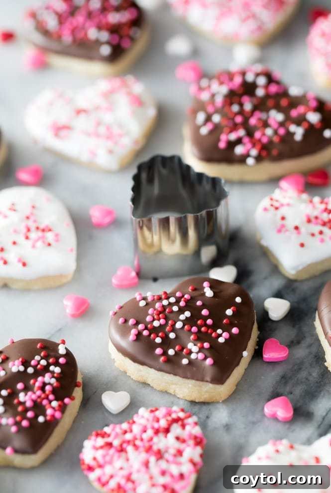 18 Irresistible Valentine's Day Cookie Ideas 21 Absolutely stunning Valentine's Day heart cookies, chocolate-dipped and covered in sprinkles by Sugar Spun Run.