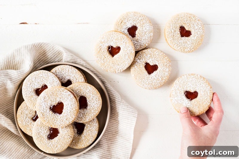 18 Irresistible Valentine's Day Cookie Ideas 23 Elegant Linzer cookies with a heart cutout, filled with vibrant raspberry jam and dusted with powdered sugar.