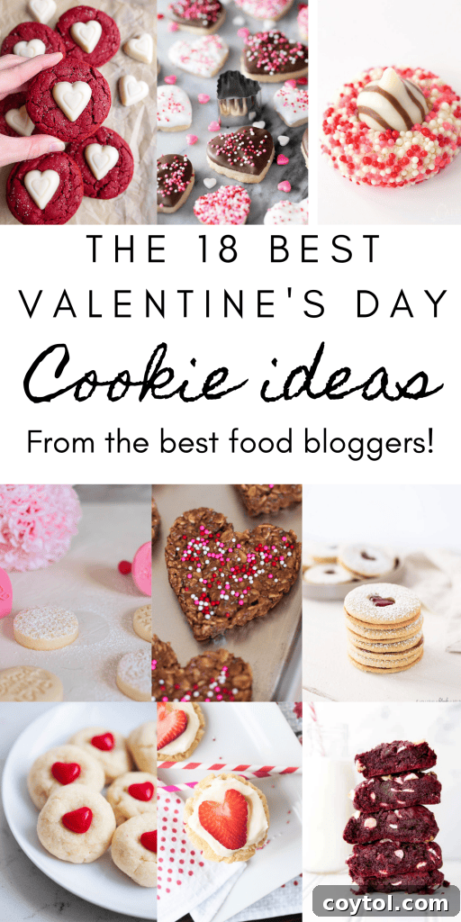 18 Irresistible Valentine's Day Cookie Ideas 31 A Pinterest pin design featuring a collection of the top 18 Valentine's Day cookie recipes.