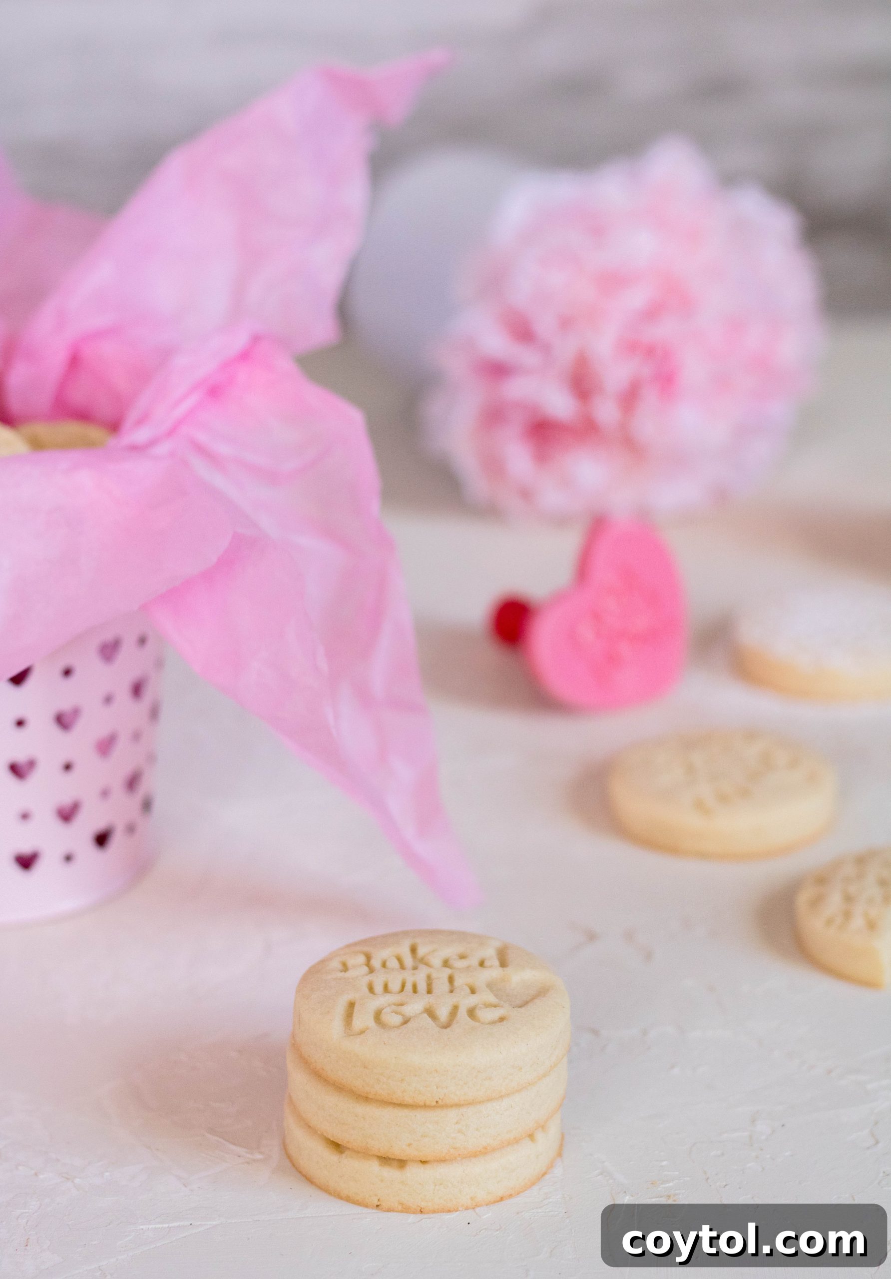 18 Irresistible Valentine's Day Cookie Ideas 7 Elegant Valentine's Day stamped shortbread cookies with intricate designs, perfect for a thoughtful, personalized gift.