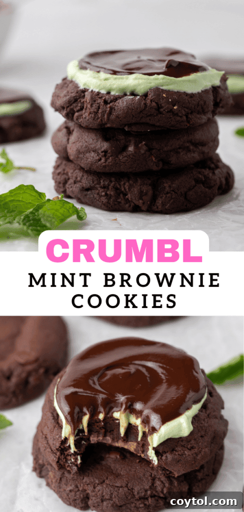 Mint brownie cookies