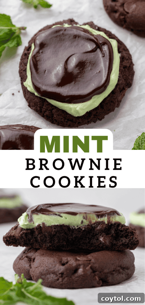 Mint brownie cookies