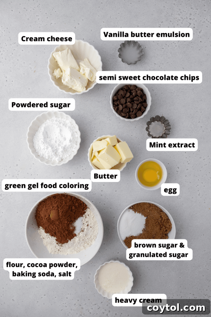 Mint brownie cookies