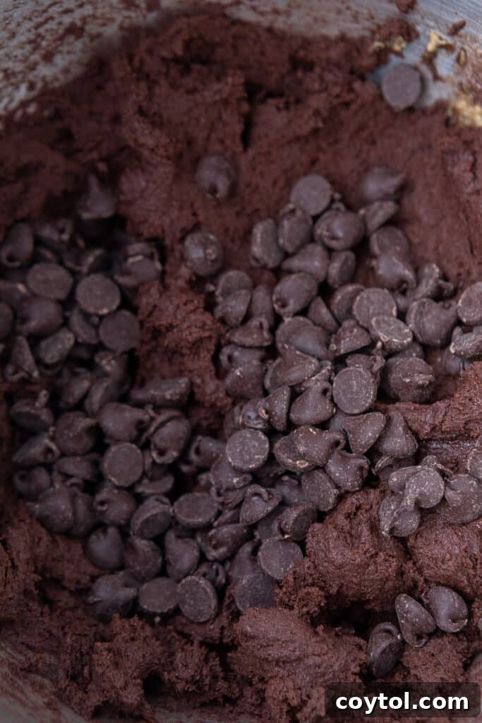 Chocolate cookie dough in mixing bowl