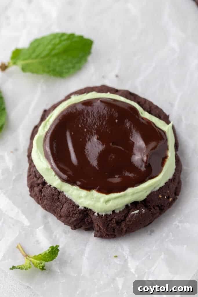 Mint brownie cookies