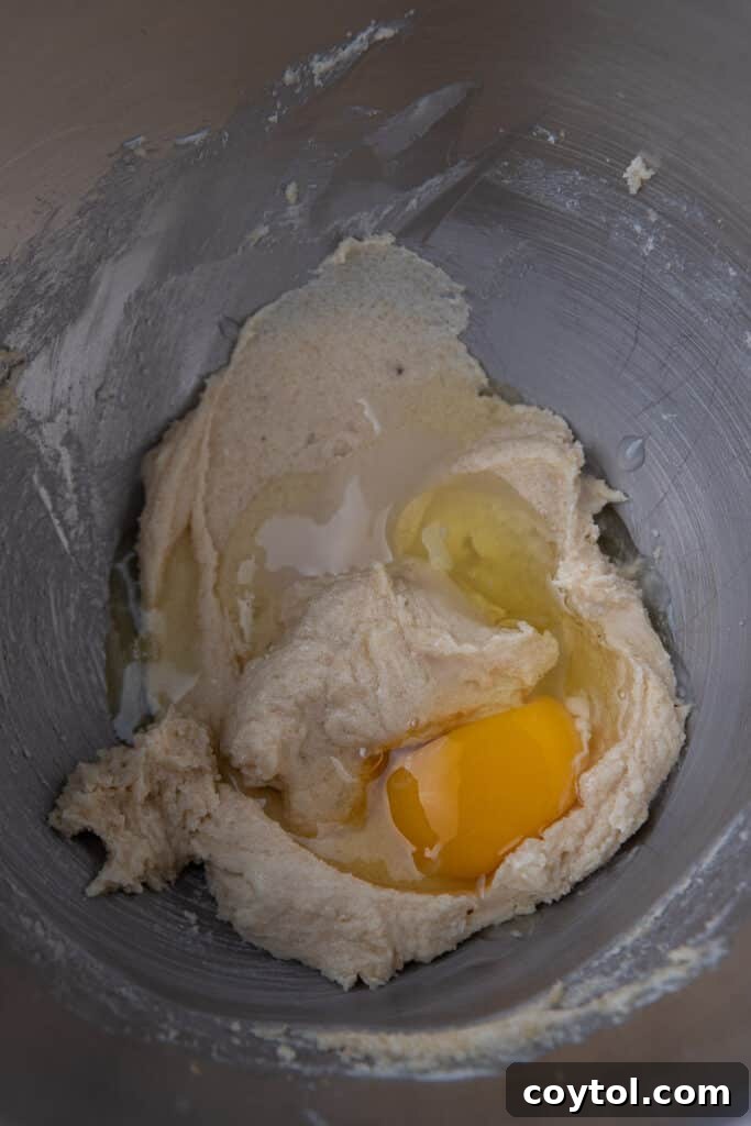 Creamed butter and sugar in mixing bowl for cookies