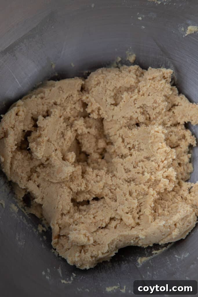 Cookie dough mixture in mixing bowl before scooping