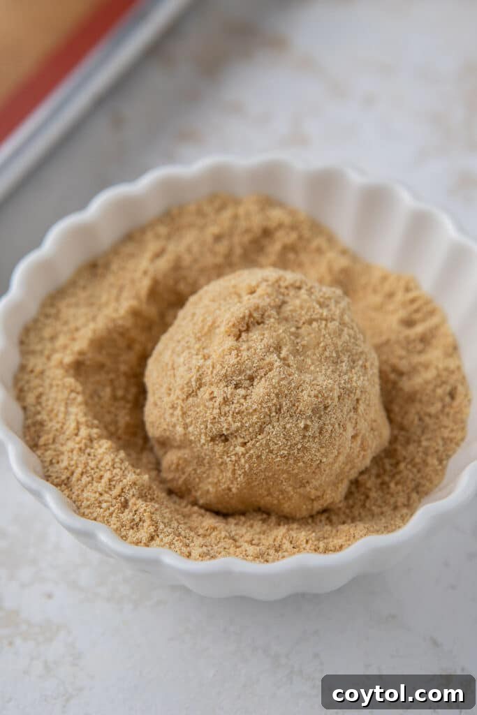 Cookie dough balls rolled in graham crackers